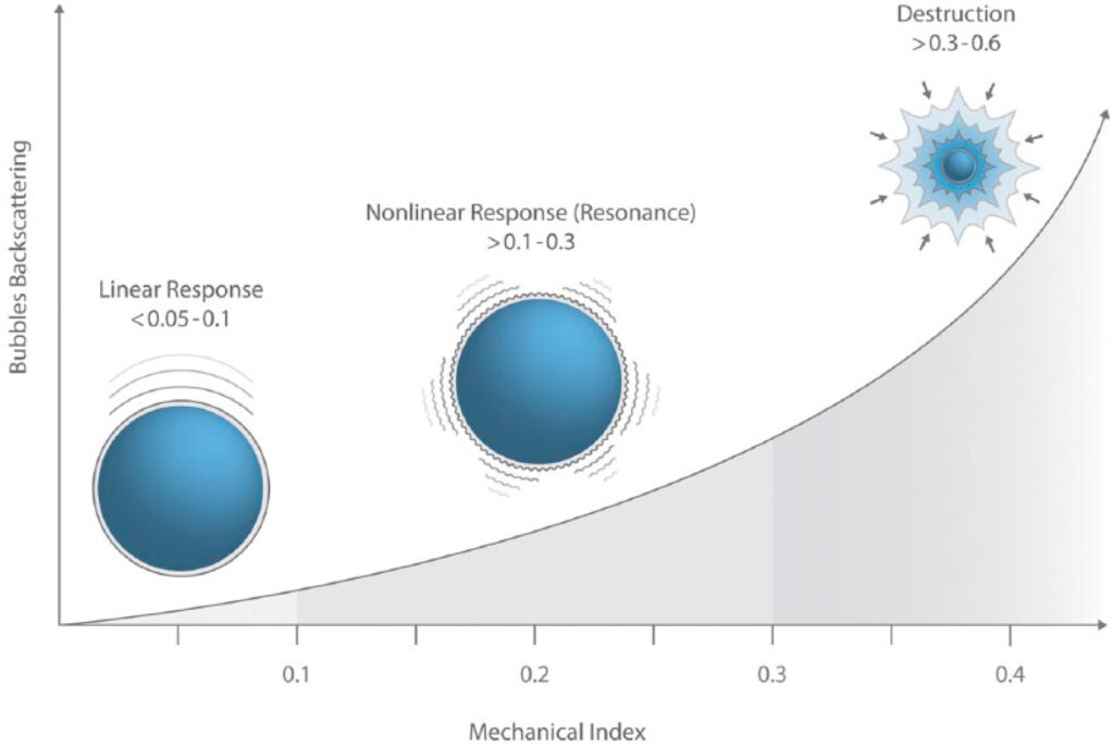 Ultrasound Contrast Agents