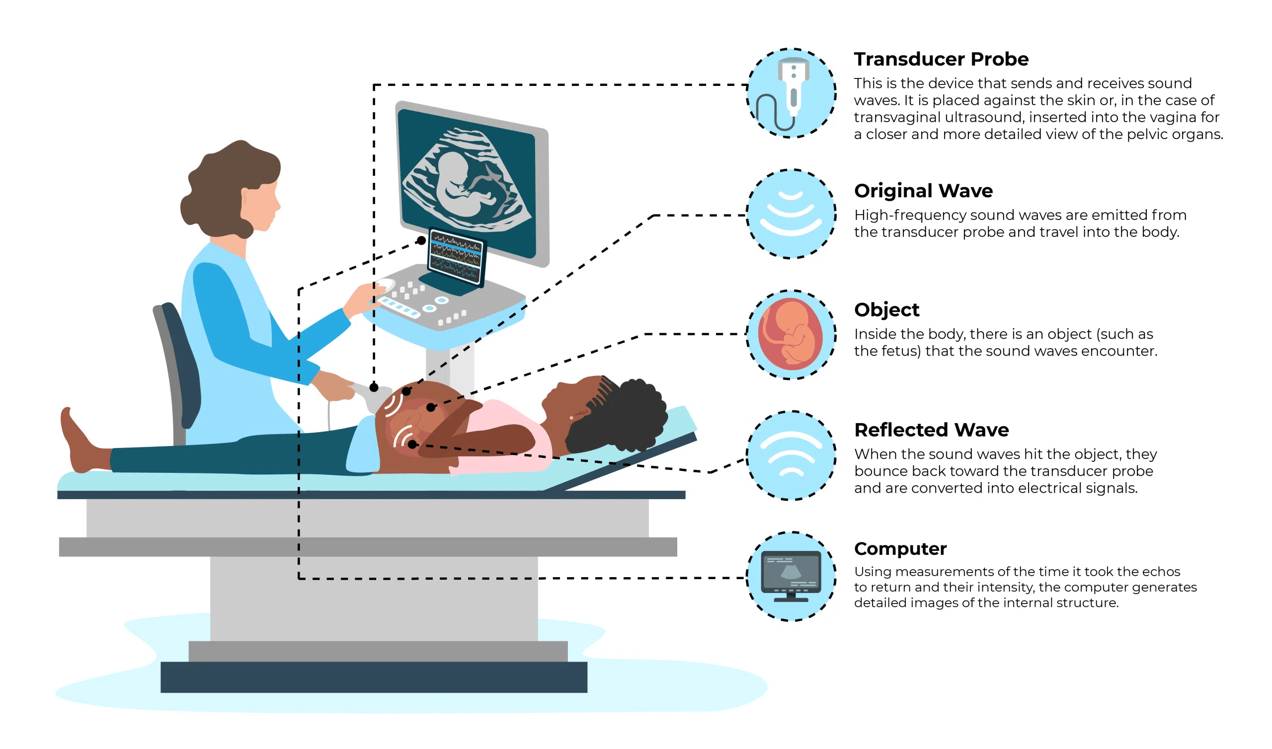 Ultrasound Infographic